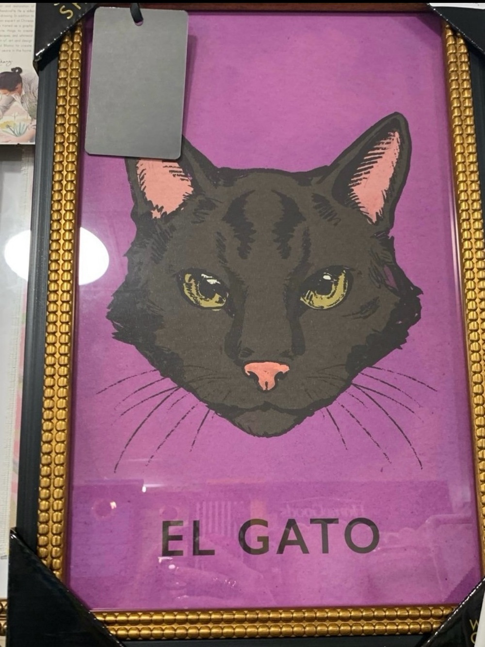 Sapna Shah Loteria El Gato The Cat Framed Art Print NEW